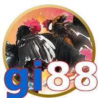 gi88